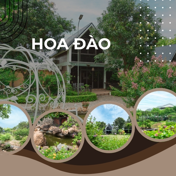 Biệt thự Hoa Đào